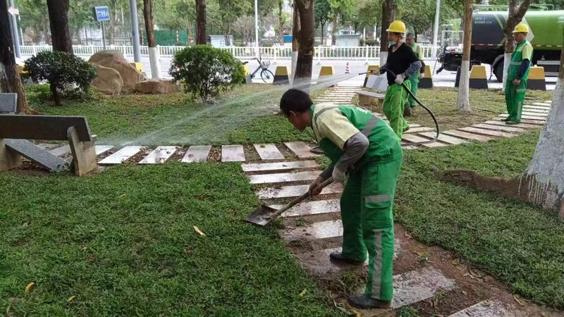 灌木种植间距与修剪频率：关键因素解析