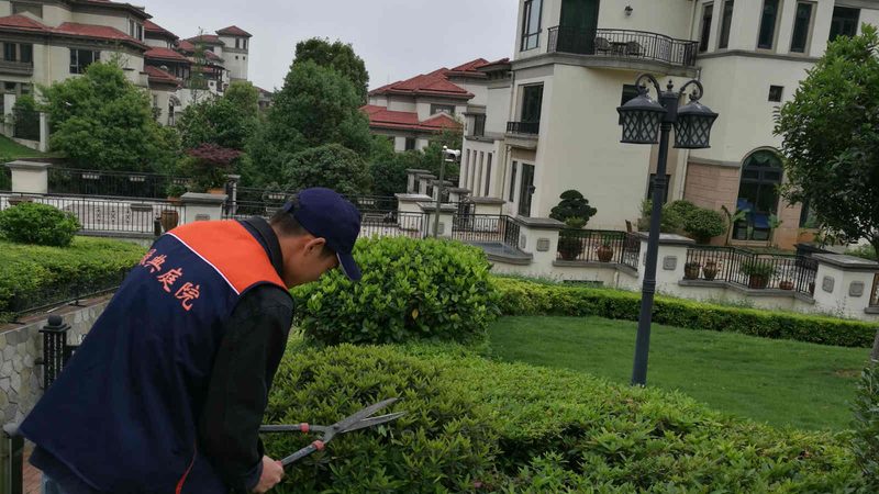 假山喷泉循环系统：揭秘其背后的技术奥秘**
