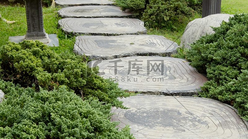 苗木种植技术视频教程：高清版，揭秘种植秘诀
