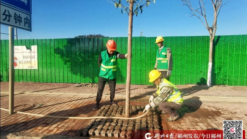 工厂绿化养护报价合理区间如何确定？**