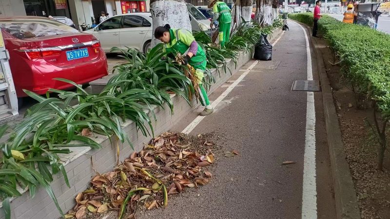 草坪铺设人工费报价表：揭秘成本构成与影响因素