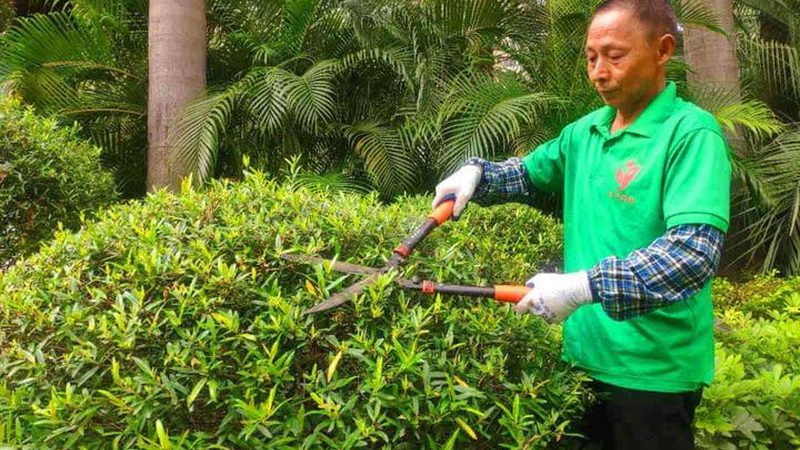 现代简约园林设计：回归自然，演绎简约之美**