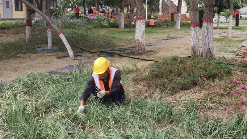 花卉租摆安装公司哪家专业