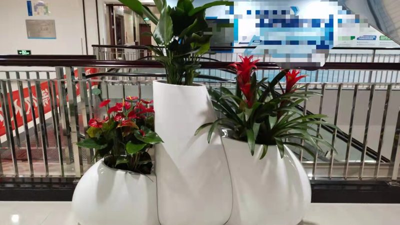 植物墙灌溉系统：如何实现高效节水与便捷养护**