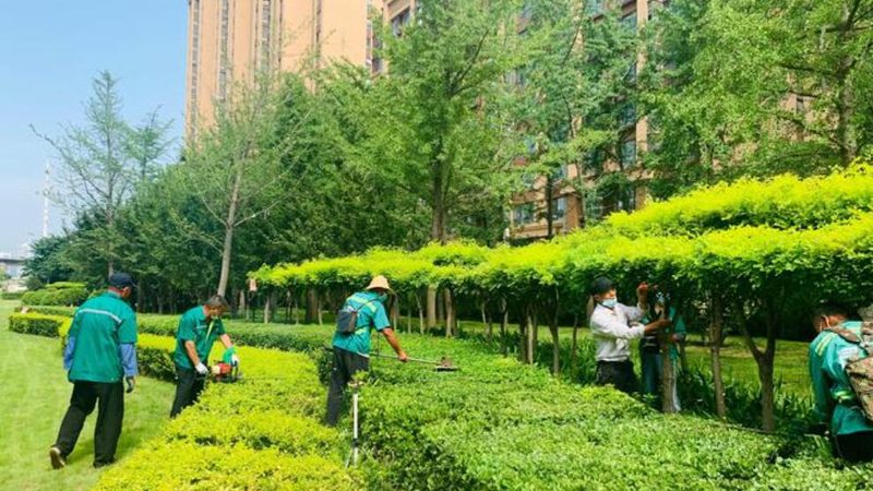 景观工程报价单：格式标准与解读